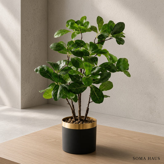 Soma Haus Artificial Bonsai Tree 60cm