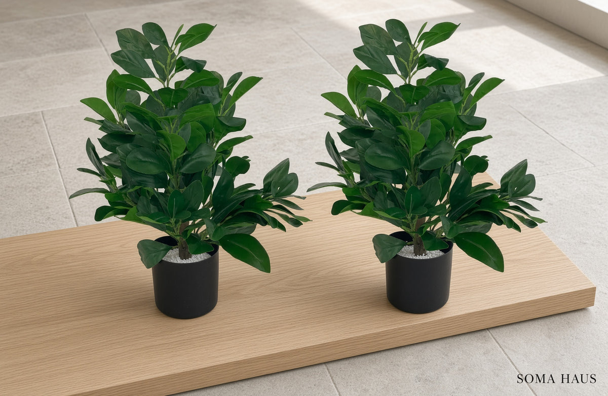 Soma Haus Pair of Artificial Monstera Plants 50cm