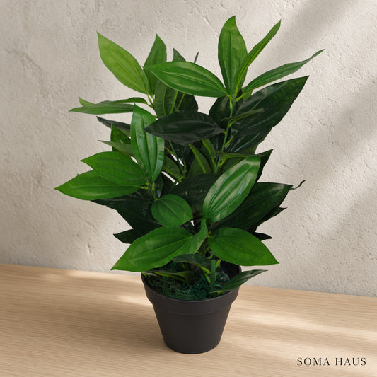 Soma Haus Realistic Artificial Plant 70cm in Weighted Pot